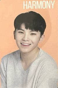 the SAEM 代言卡 唇膏卡