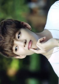 17520 生寫真 (1/5)