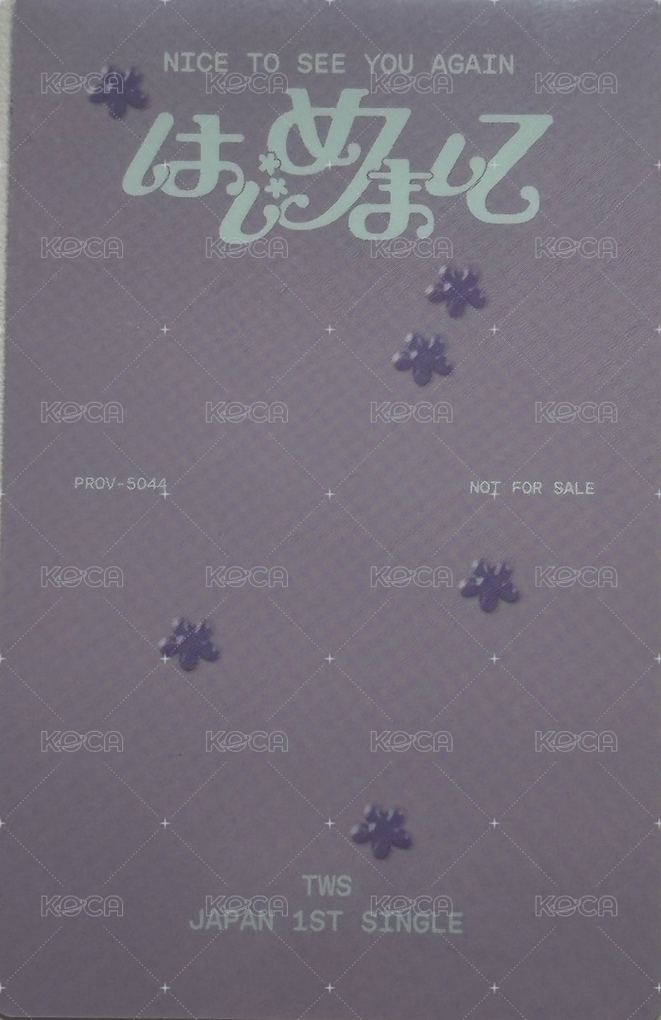 初次見面 專輯卡 wvs限定盤 14雙人卡 背面