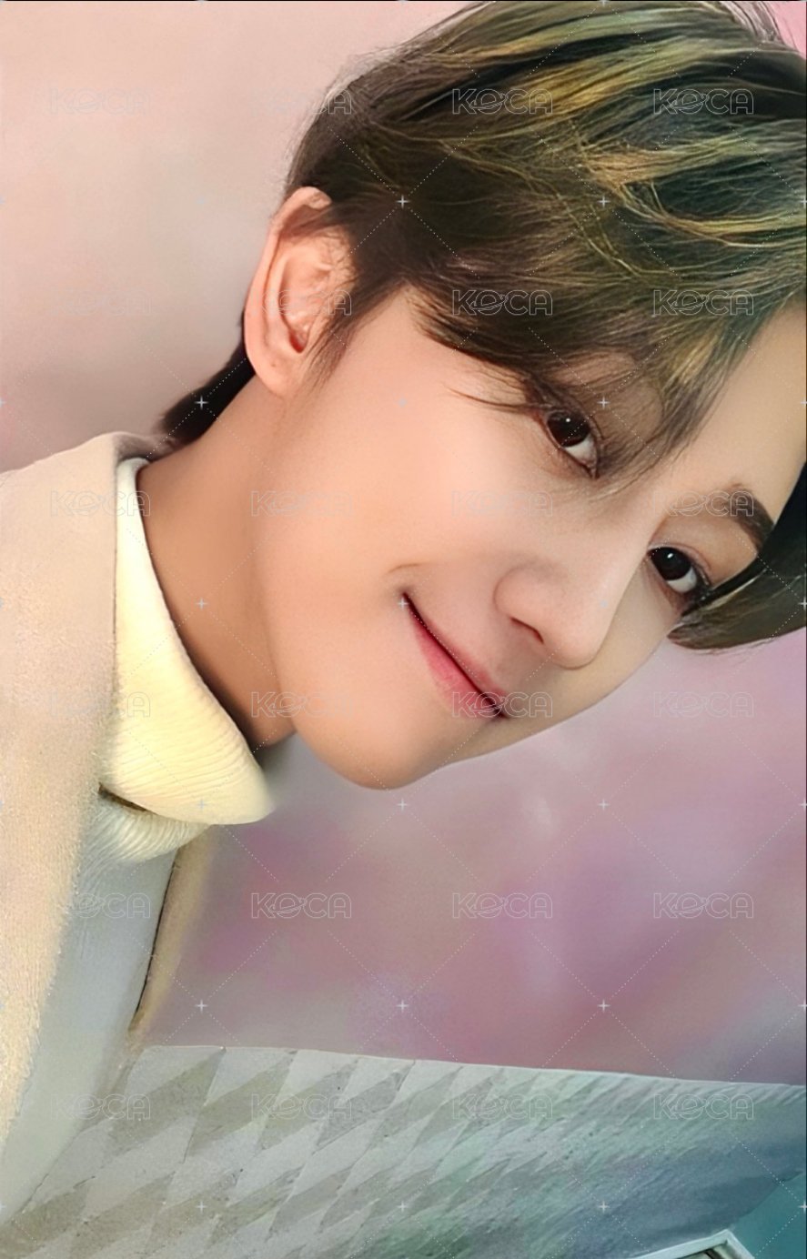 POL 專輯卡 CARAT ver. 正面