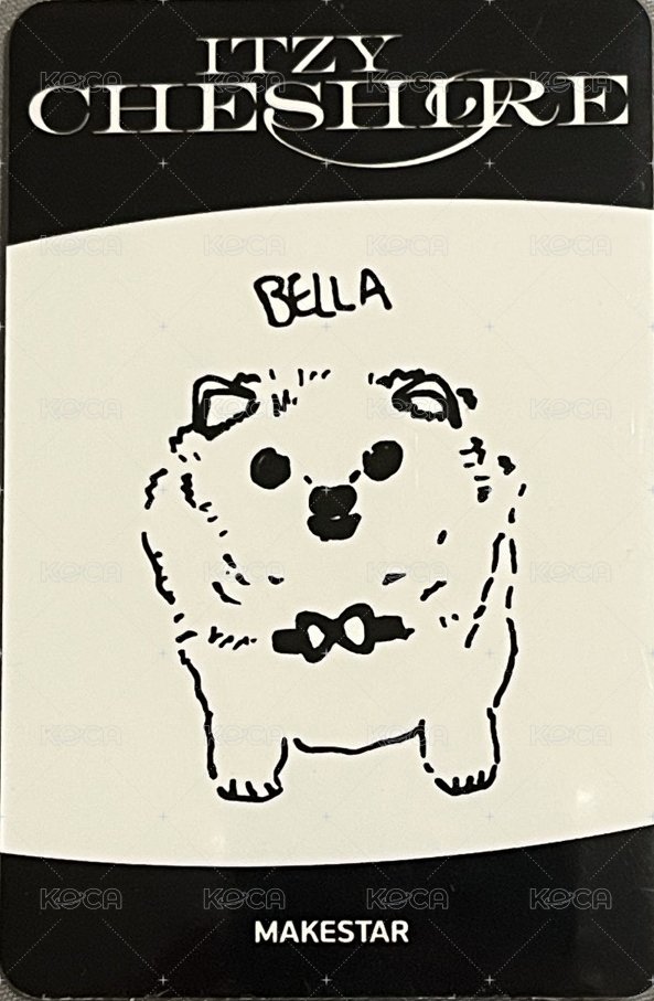 CHESHIRE ms 1.0 幸運卡  背面