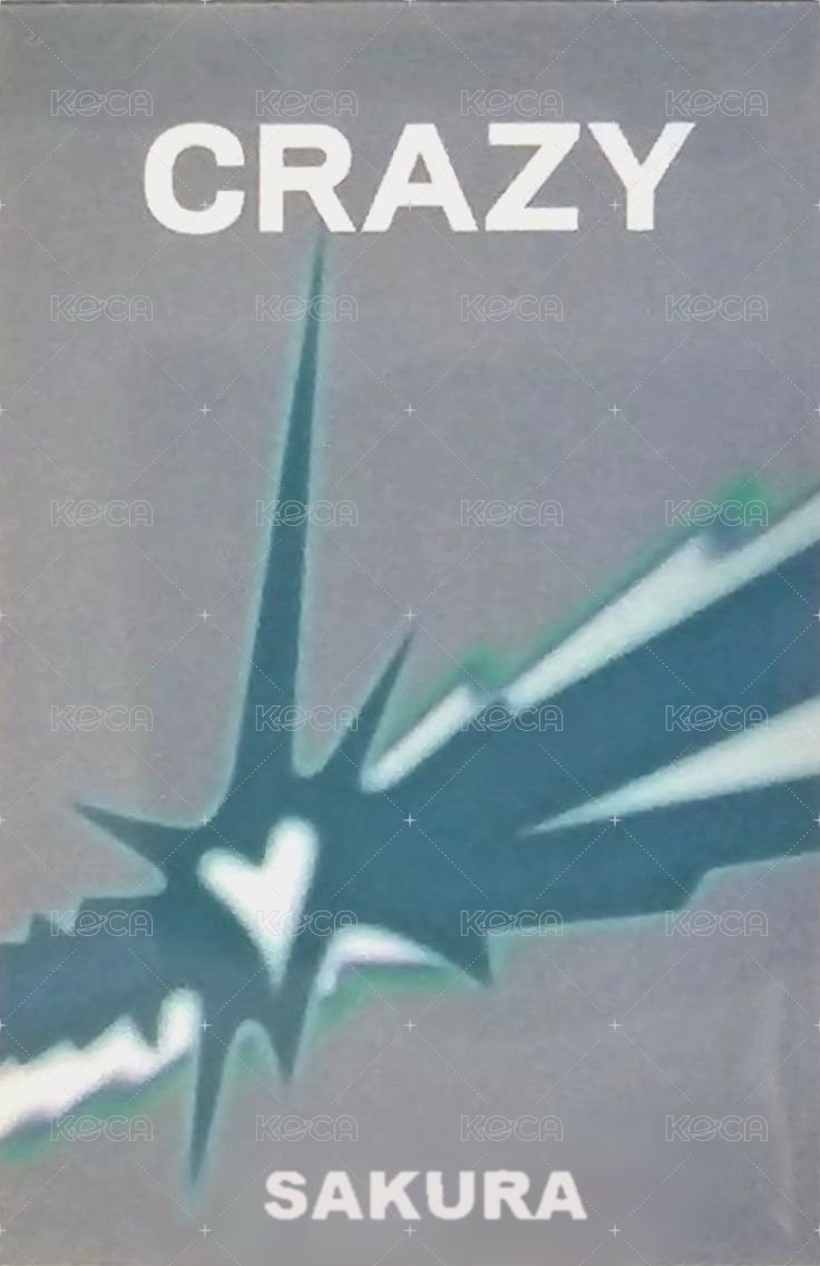 CRAZY 打歌卡 2.0 背面