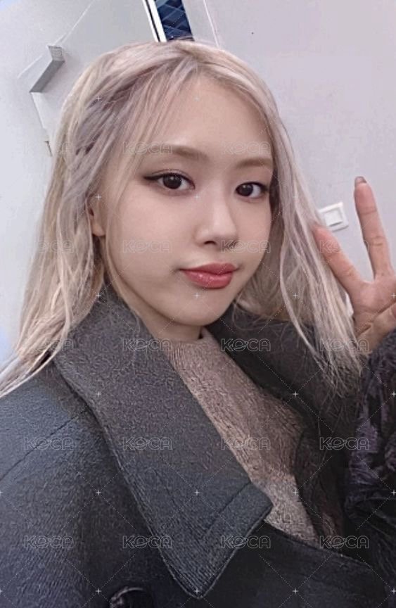 BORN PINK 專輯卡 黑膠 B ver. 正面