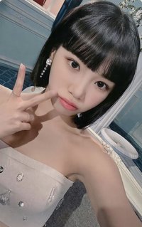 FEARLESS wvs 特典卡 普卡特典