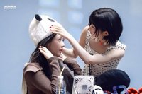 杏仁🐰🐼