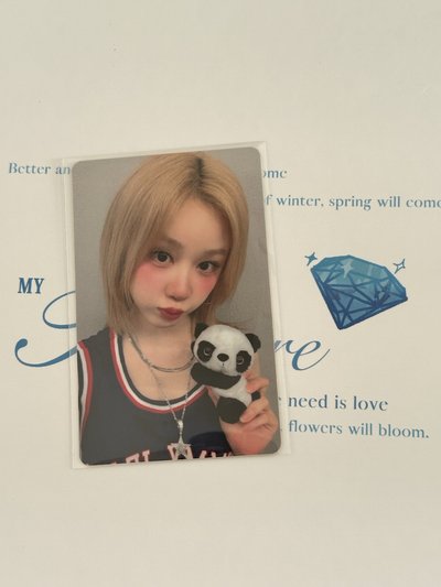 現貨 熊貓699滿額卡 露塔賢