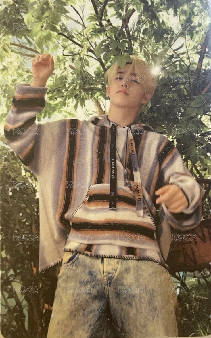 MINI11 wvs 特典卡  正面