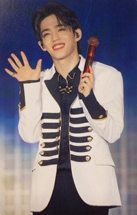 IDEAL CUT 演唱會 DVD / CD 卡 
