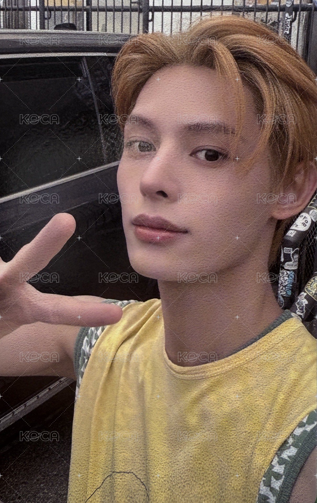 迷一 wvs 預售 特典卡  正面