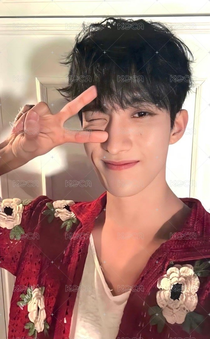 MINI11 m2u 特典卡 ｜ LD特典 正面