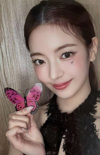 GOLD ms 6.0 簽售卡 蝴蝶