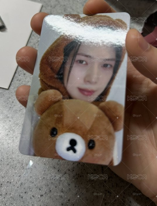 尚蜜茶熊