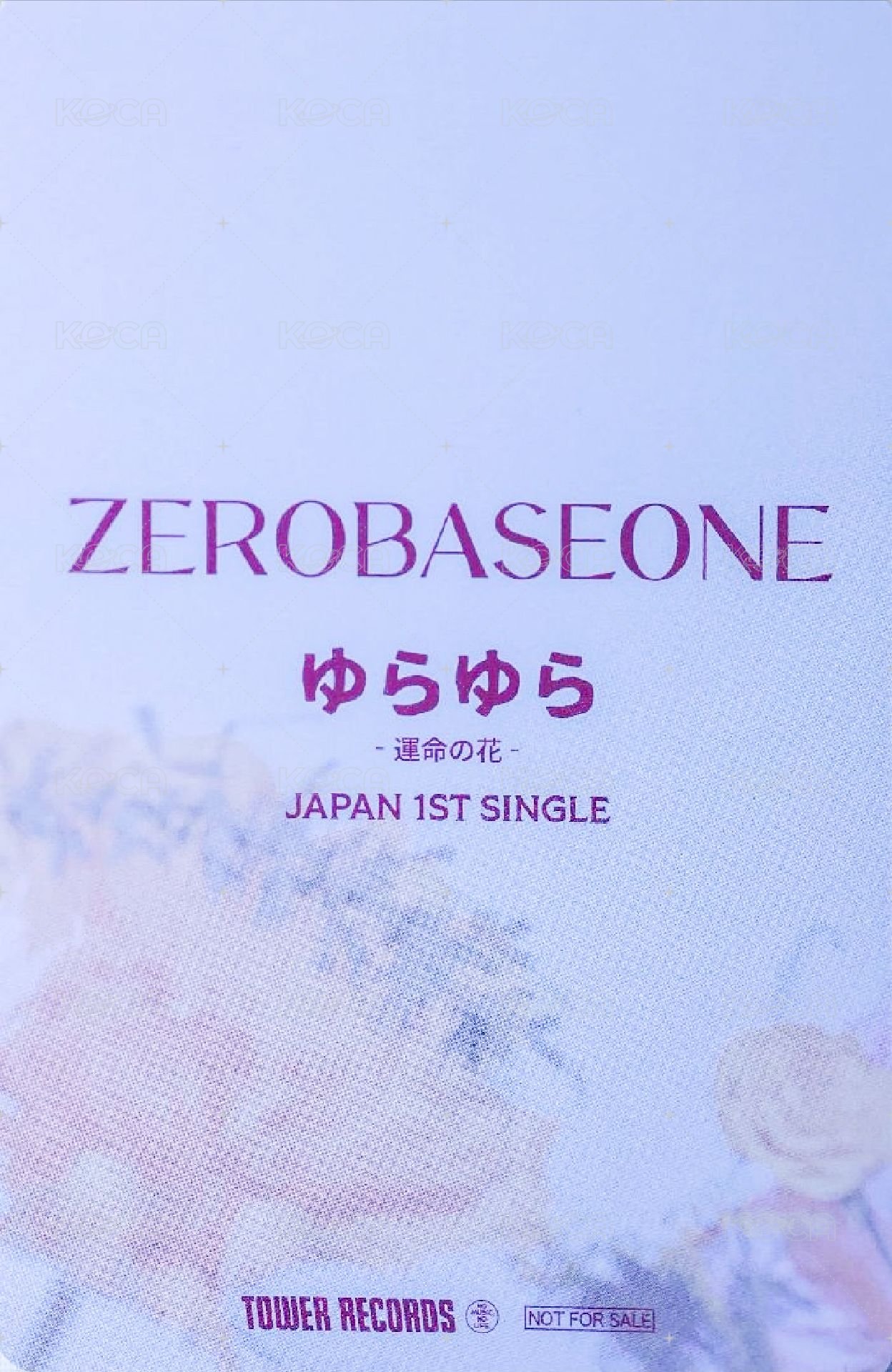 日專 塔店 特典卡 官拍 背面