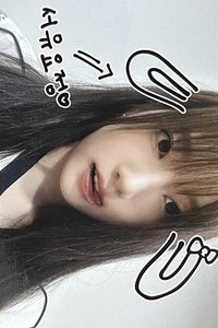 SPEED ZONE ms 線下 1.0 簽售卡 寵物鏡頭