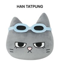 BBNEXDO 抱枕 HAN TATPUNG