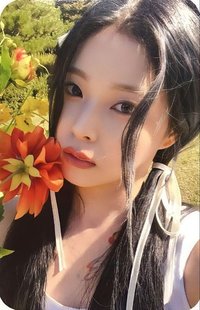 expérgo sw 預售 特典卡 