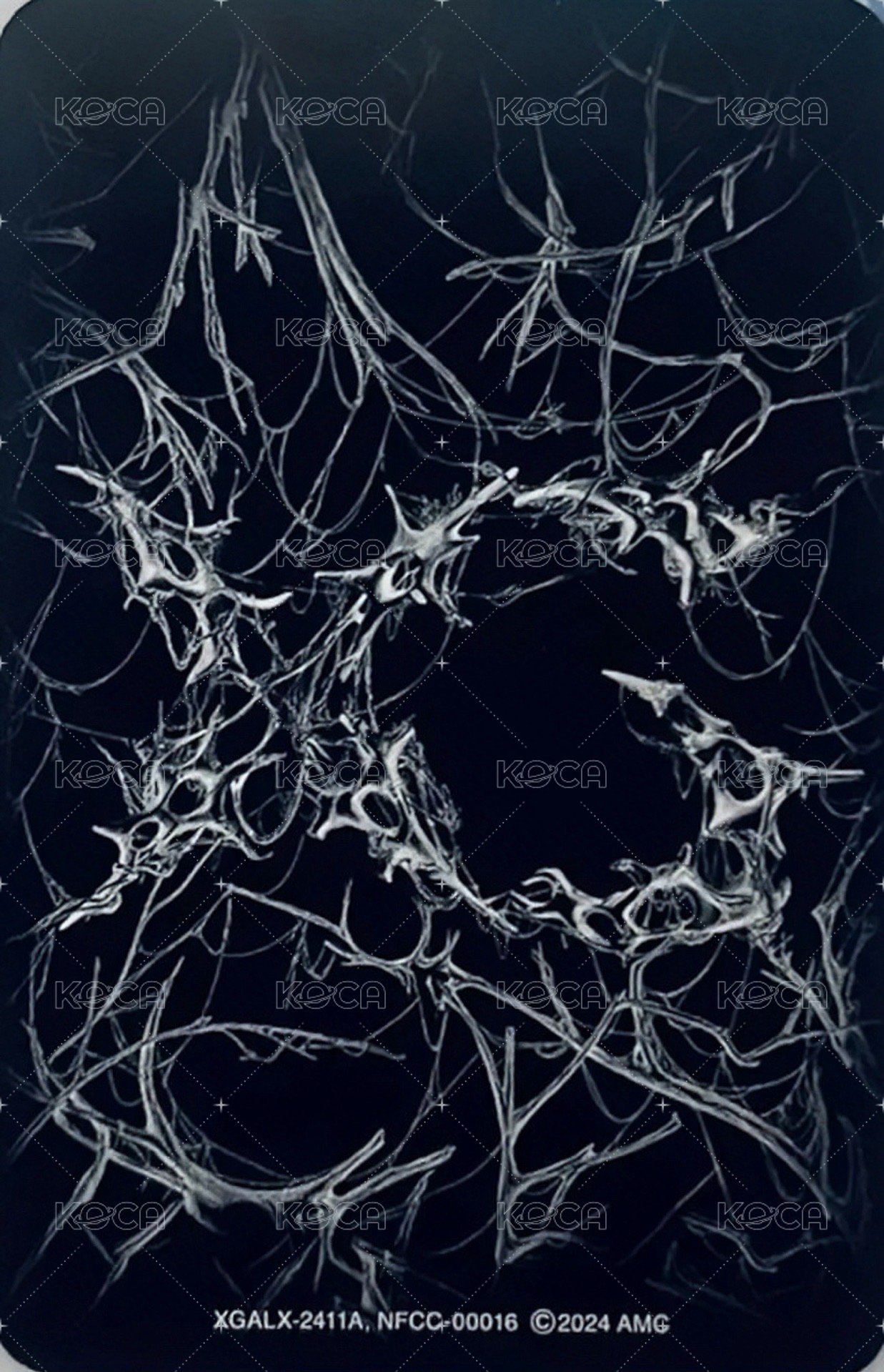 AWE 專輯卡  背面