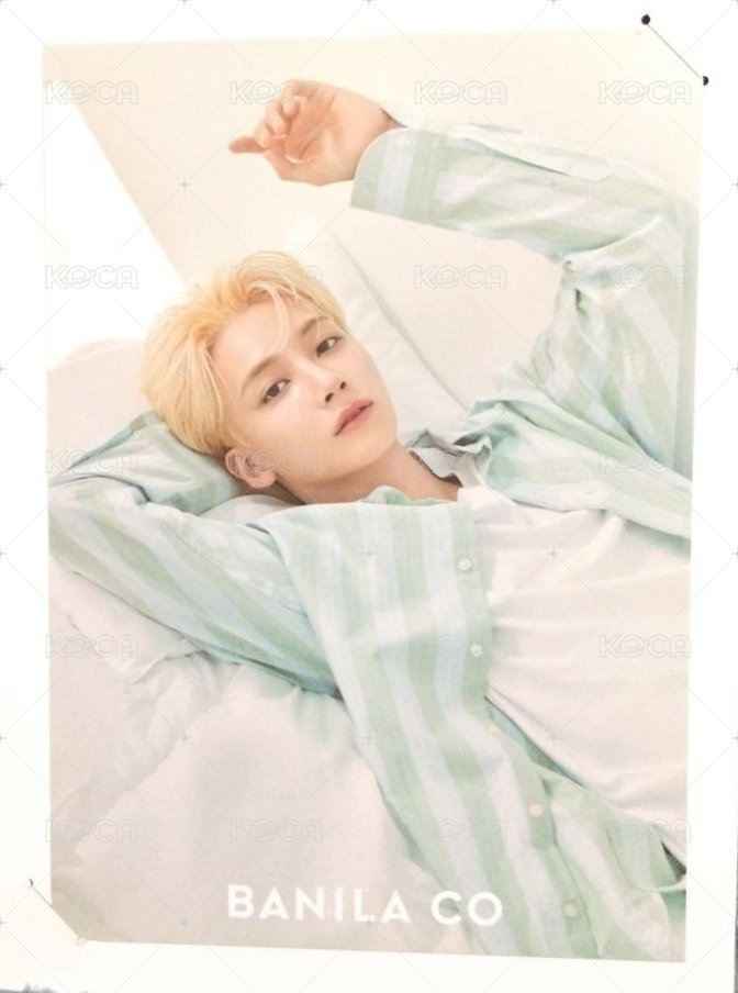 代言 特典海報 芭妮蘭 代言特典海報 正面