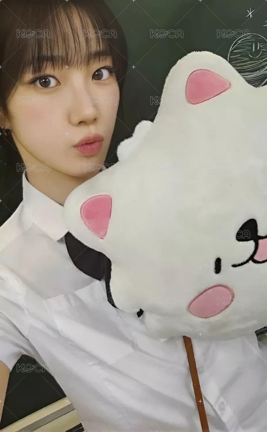 FIM’S CLUB 滿額卡 滿額卡抱枕ver. 正面