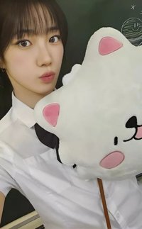 FIM’S CLUB 滿額卡 滿額卡抱枕ver.