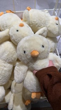 ktt（平日可快速出貨）