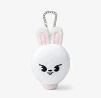 1st 日本巨蛋巡迴 吊娃 熱氣球娃 大頭娃