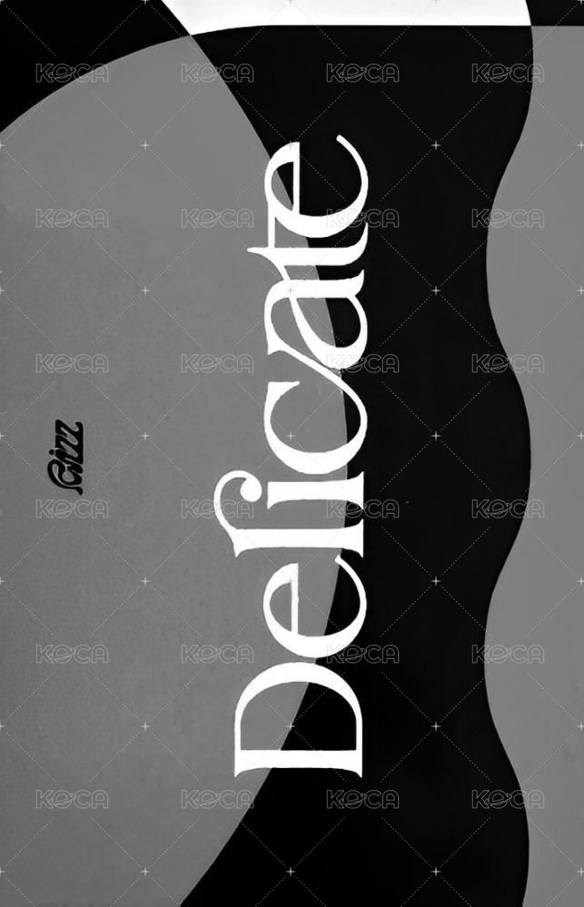 RIZZ 專輯卡 ver.Delicate 背面