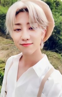 正三 專輯卡 正規三｜綠ver.