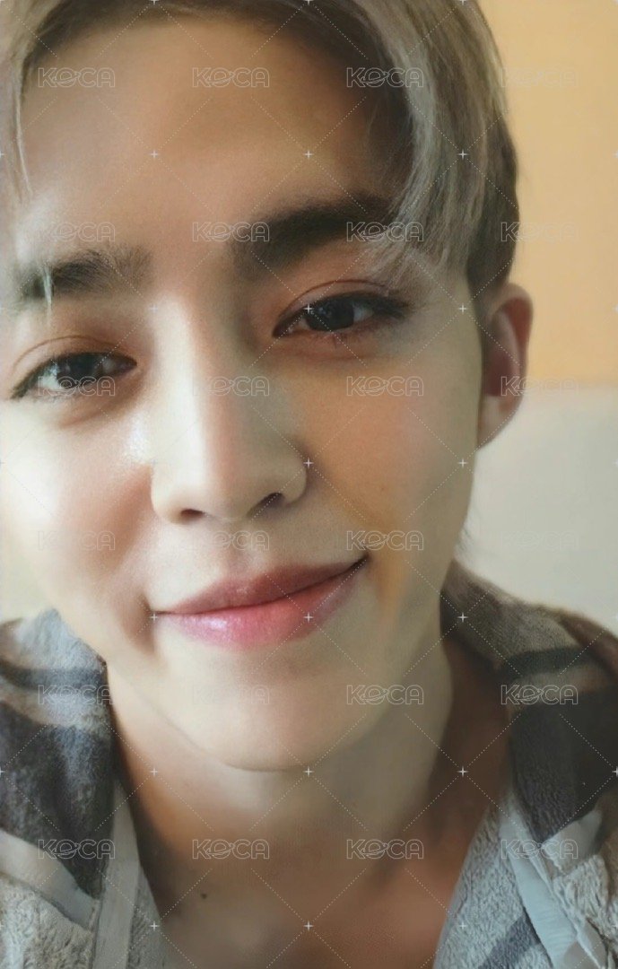 正四 專輯卡 正規四｜CARAT ver. 正面