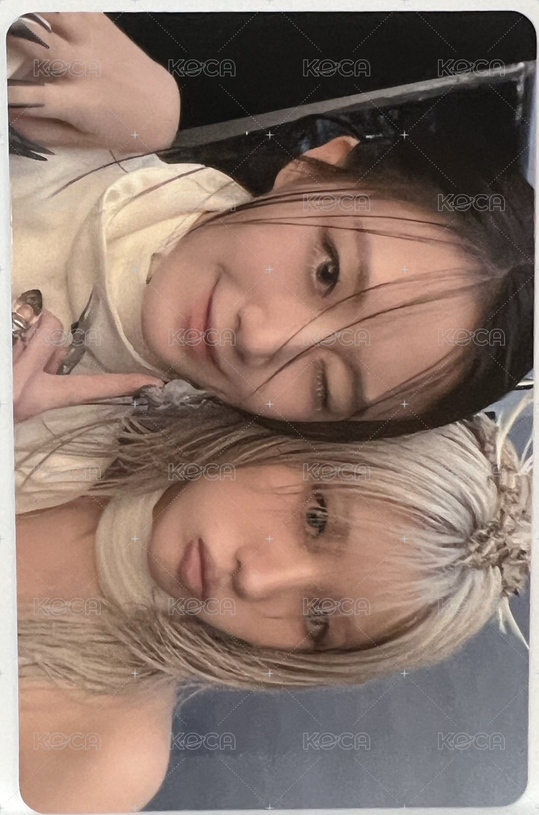 We are 隨機卡 花卷分隊卡 正面