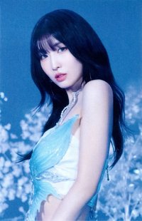 JP正規五 專輯卡 通常盤