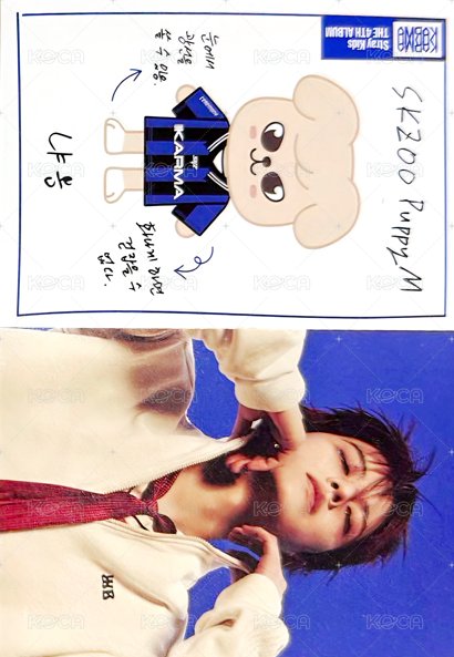 KARMA 專輯卡 電子專娃身分證卡 正面