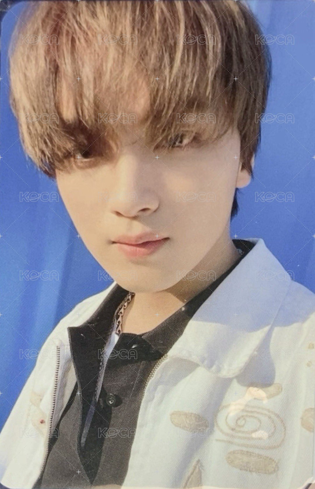 Hot Sauce mumo 特典卡  正面