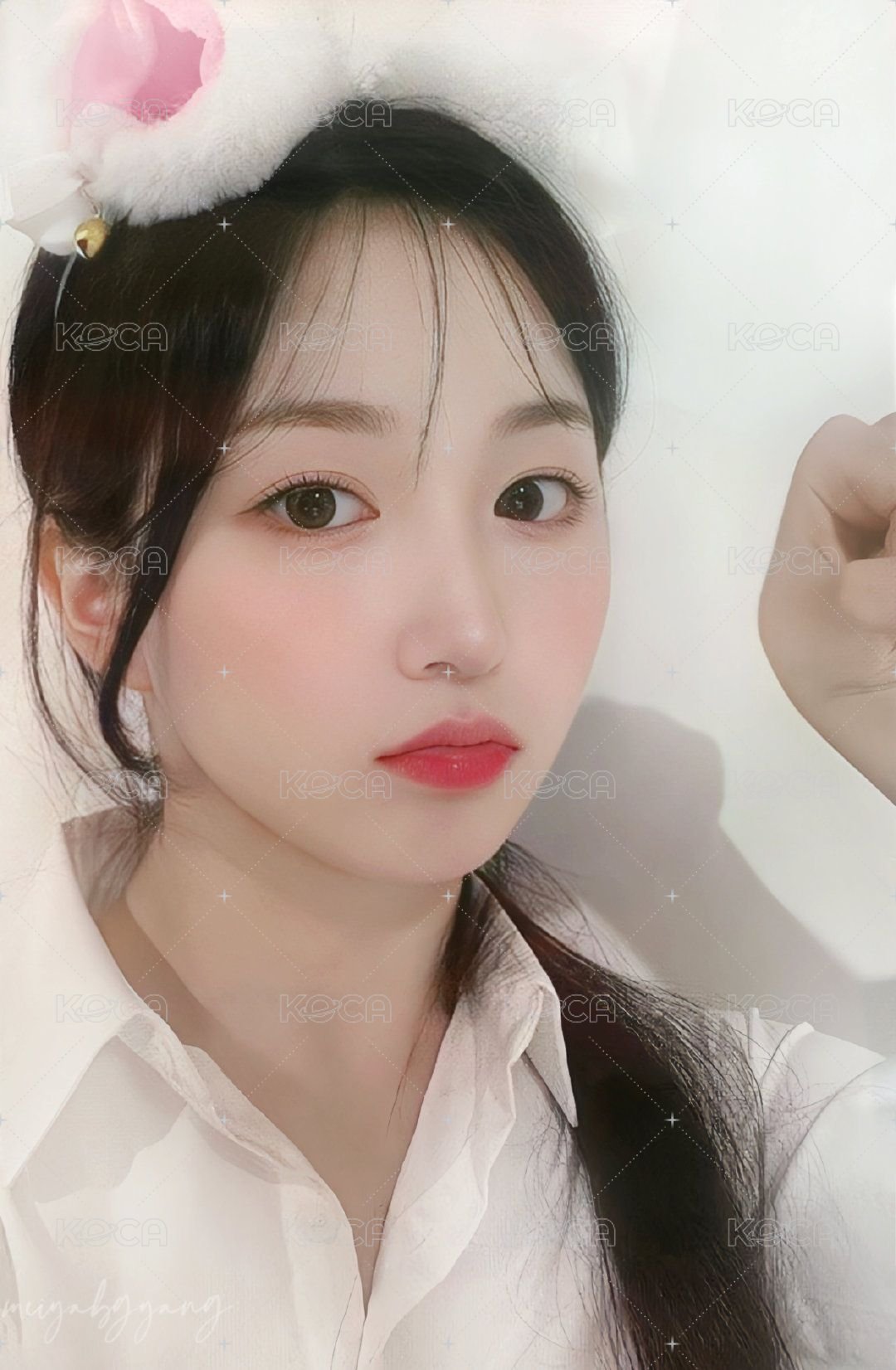 expérgo mp 幸運卡 白貓嫄 正面