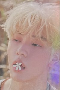 迷五 wvs 特典卡 