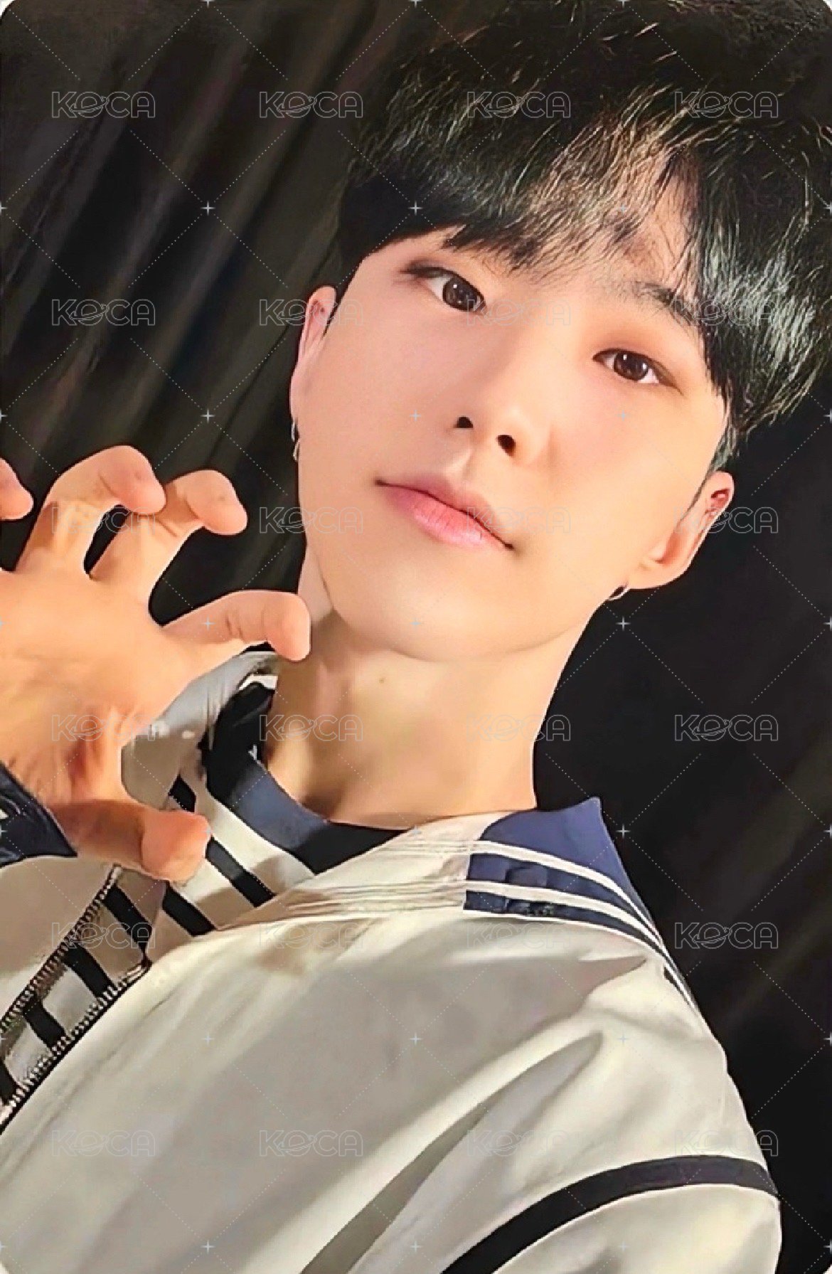 23’克拉島 演唱會 DVD / CD 卡 23‘克拉島回憶錄 正面