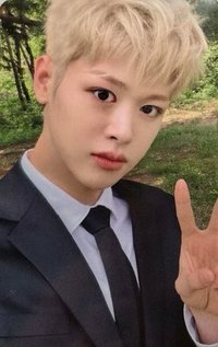 Snowy Summer 打歌卡 第一週