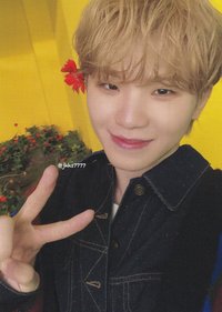 POL 通常盤 專輯卡 聖誕卡