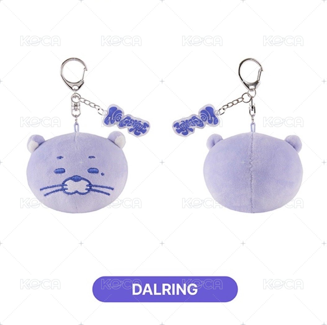 快閃店 DALRING