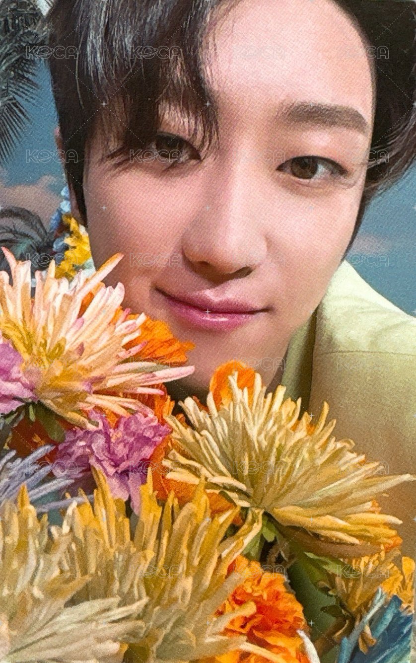 正四後續 專輯卡  正面