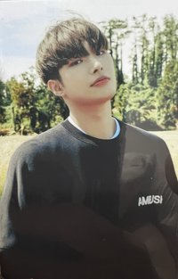 FEVER再版專 專輯卡 