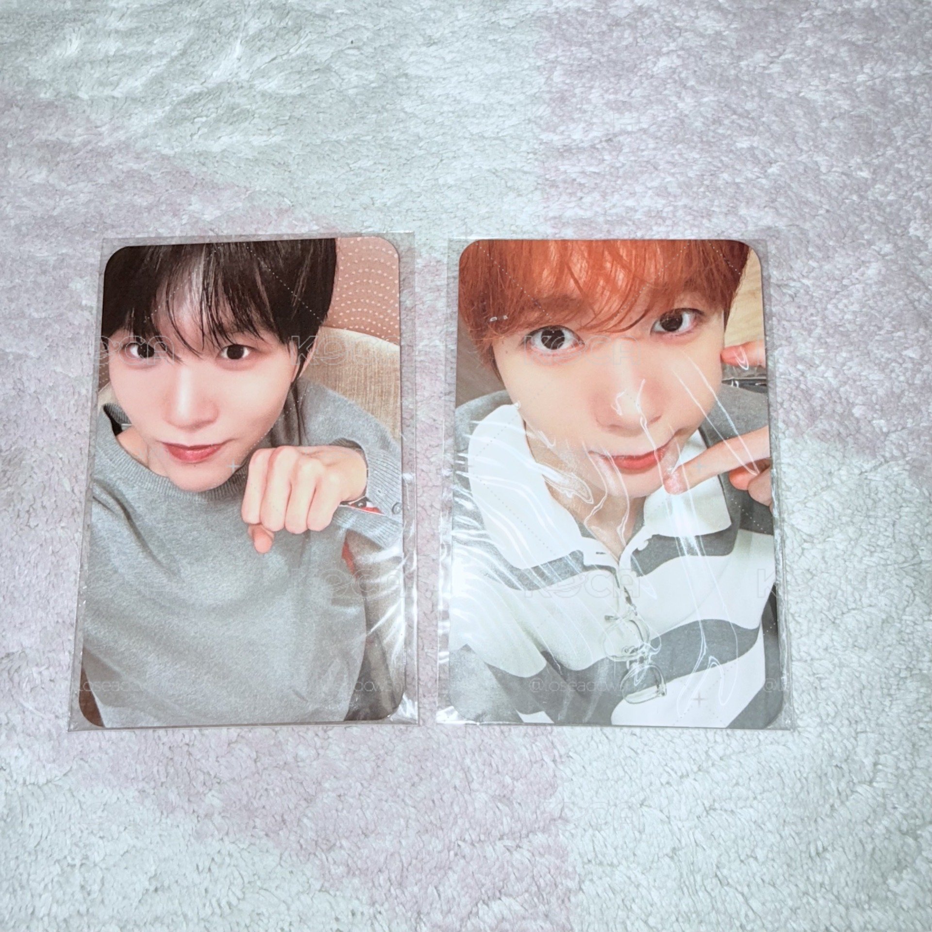 NCT WISH 台北簽售 Jaehee Ryo 含專輯