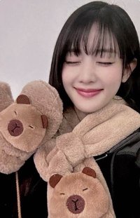 正規二 yzy 8.0 特典卡 卡皮巴拉