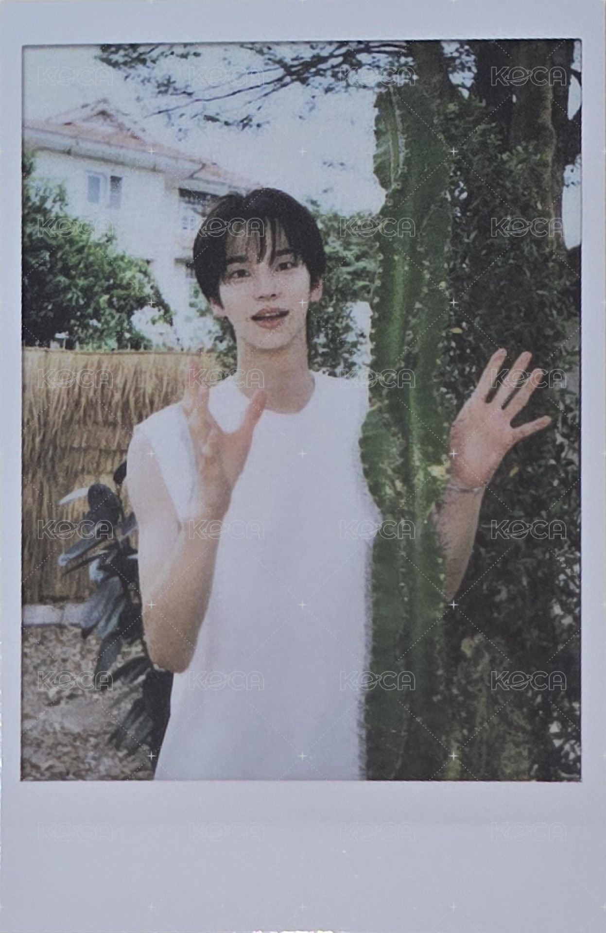 TWS:42 Selection Pack 周邊卡  正面