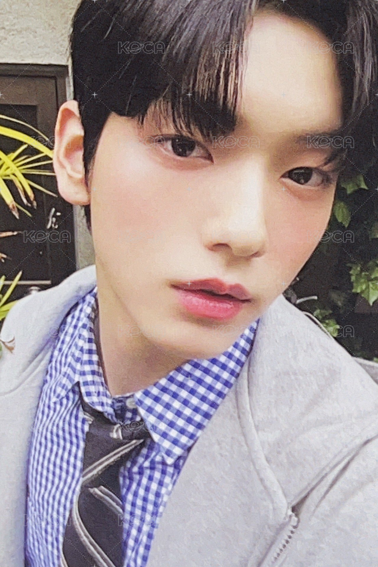 23夏寫 周邊卡 牛奶彬 正面