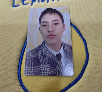 17 is right here here ver. mingyu