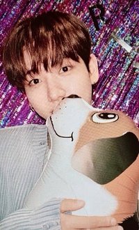 24生日 wvs 周邊卡 立牌 3