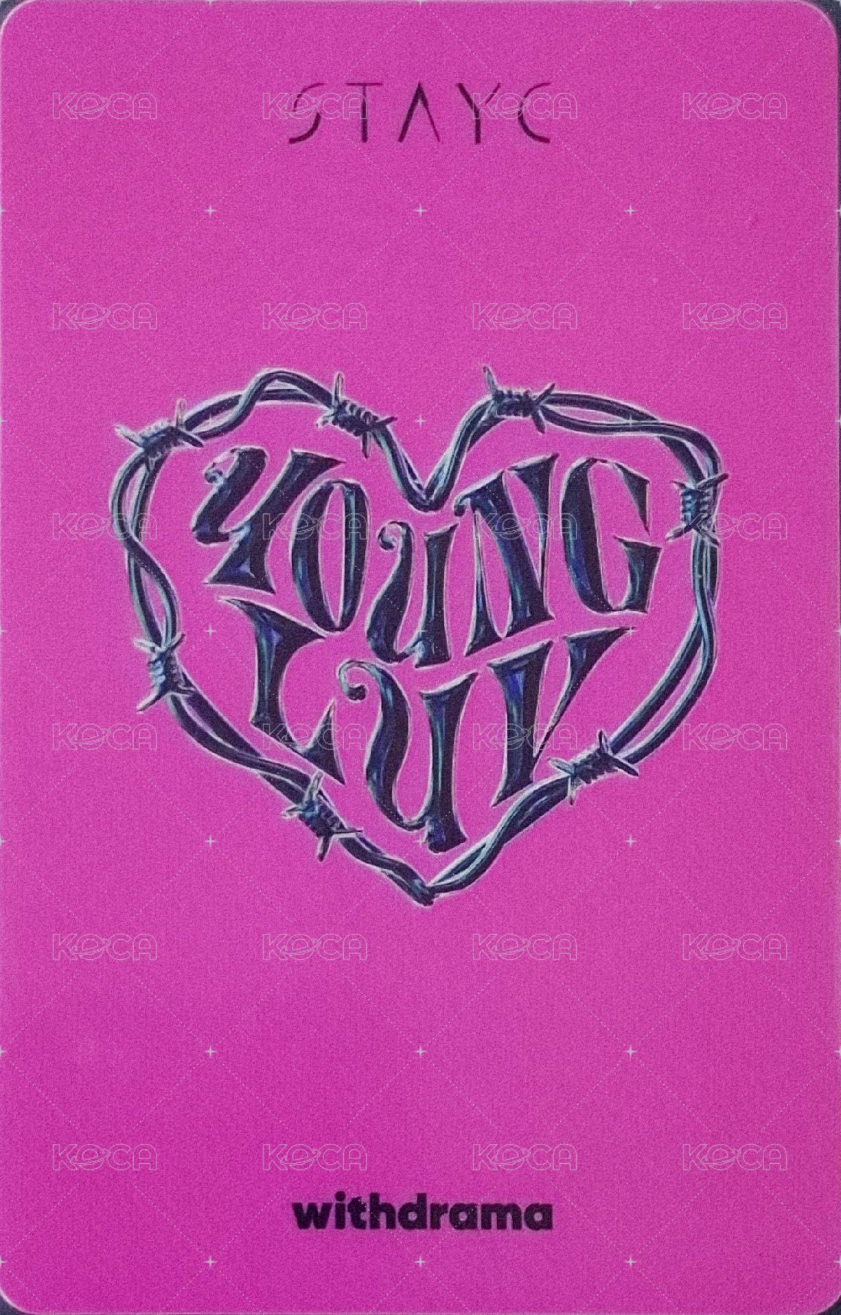 YOUNG-LUV.COM wd 特典卡  背面