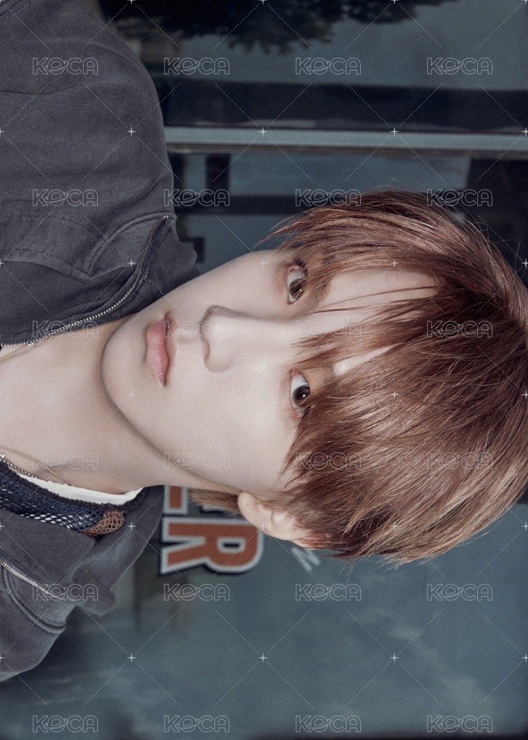 EDIYA 聯名 明信片  正面