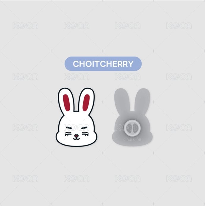| CHOITCHERRY 胸針